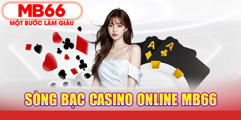 saowin PT Điện Tử