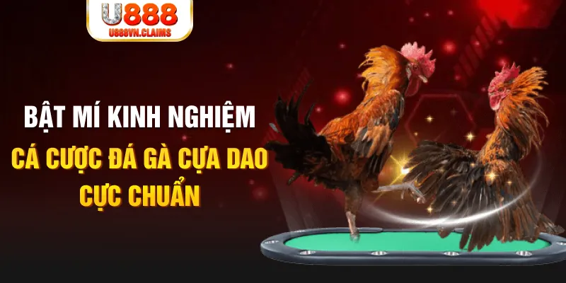 saowin casino hồ tràm có cho người việt vào không