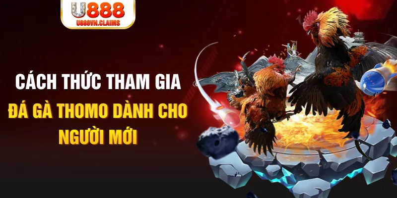 saowin truc tiep da ga