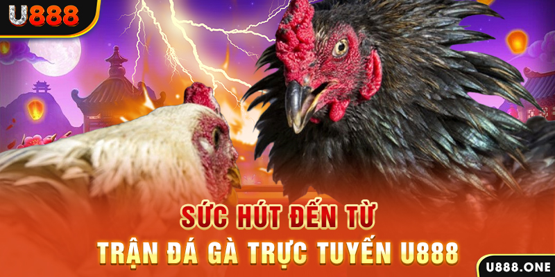 saowin đăng nhập poker 2024
