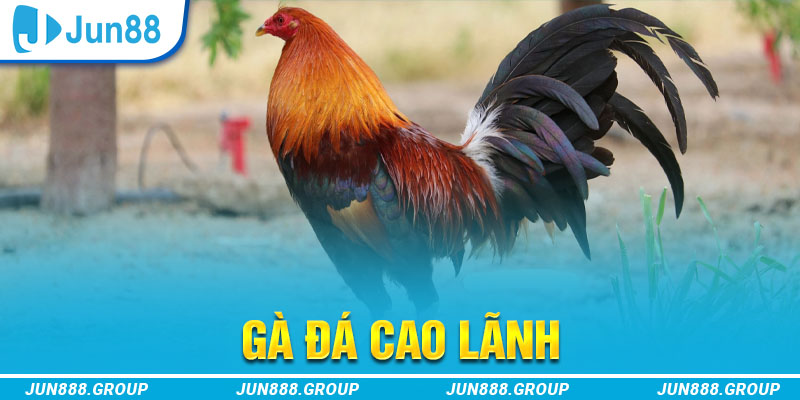 saowin tai game vua bai ve may tinh