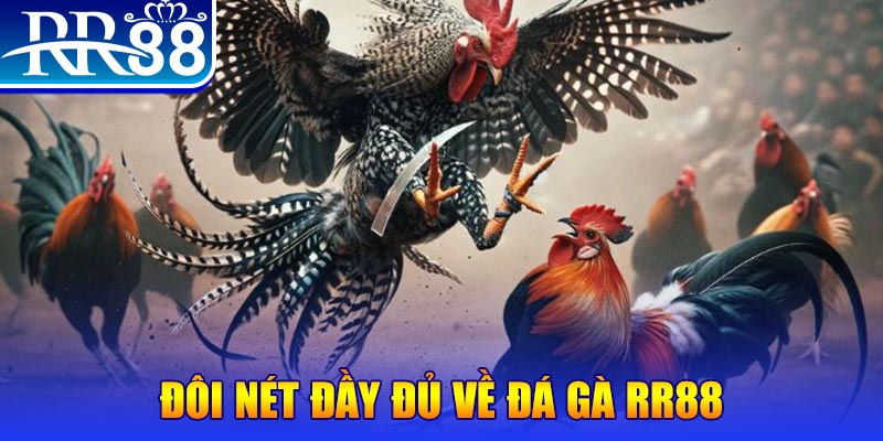 saowin new88 ở trò chơi nổ hũ có bao nhiêu sảnh game