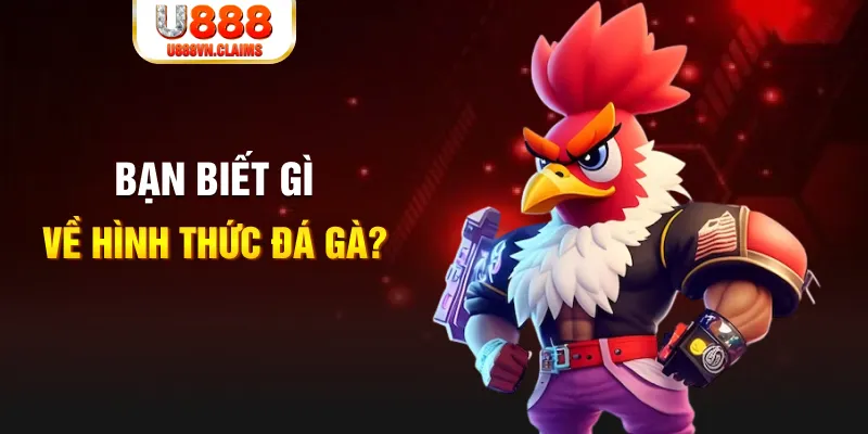 saowin đăng nhập liêng tặng tiền
