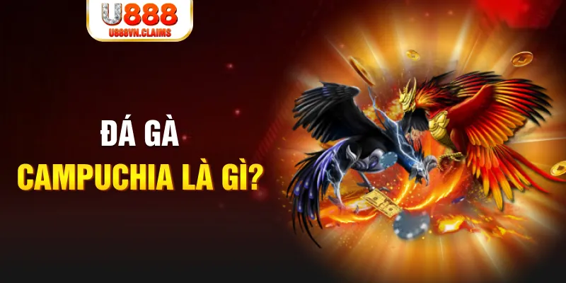 saowin what is the best online casino for real money