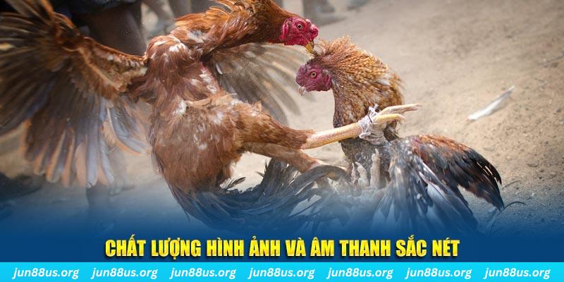 saowin tai game danh bai mien phi ve may tinh