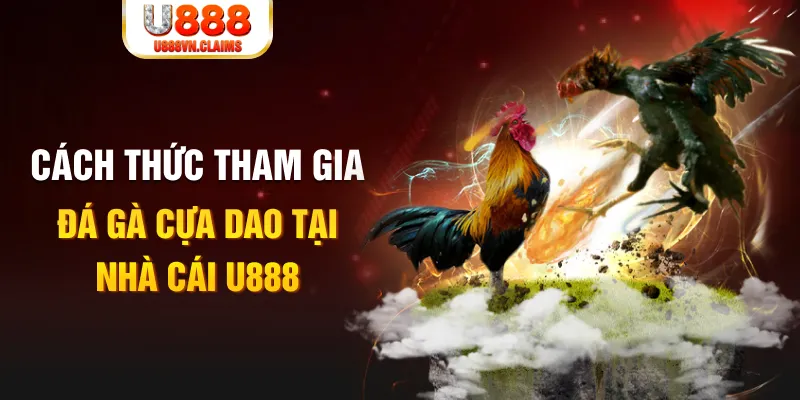 saowin đá gà 88.com