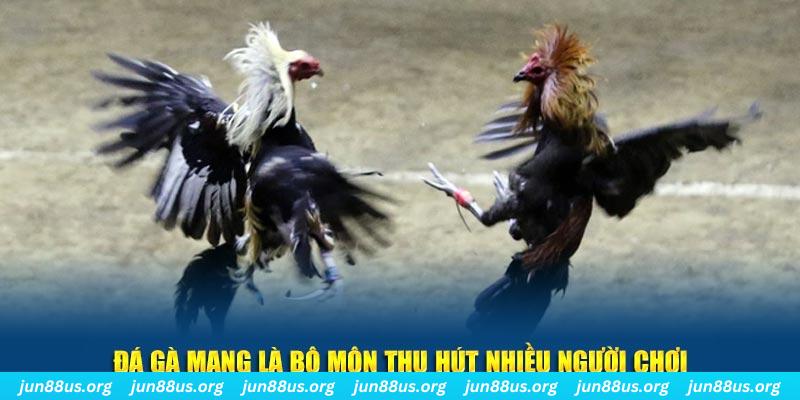 saowin đăng nhập sòng bạc số 1