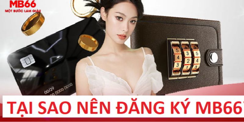 saowin trực tiếp gà chọi c1
