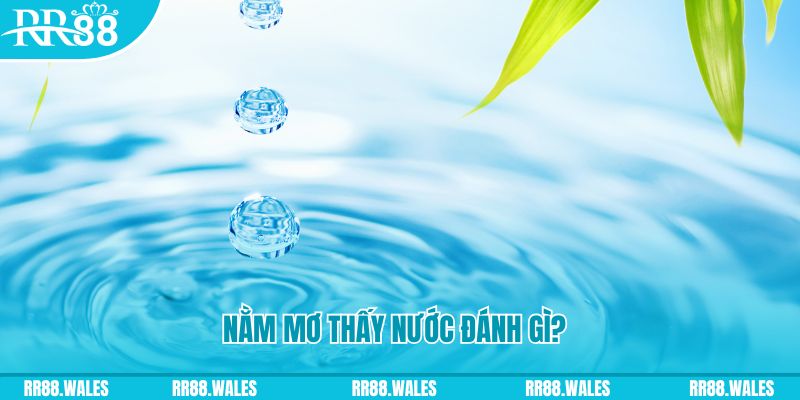 saowin xổ số trực tiếp miền bắc