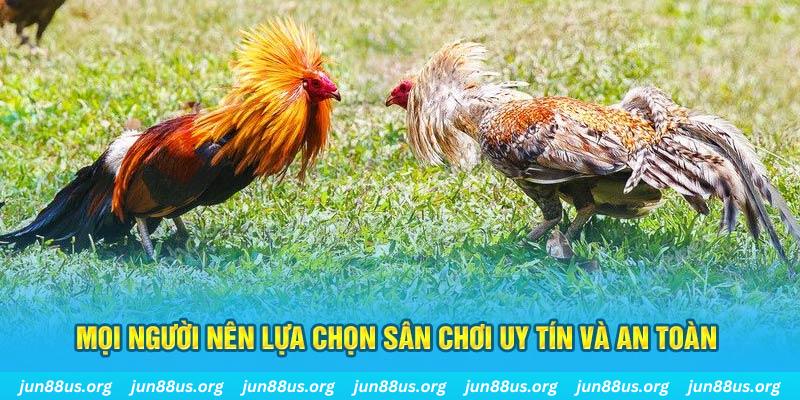 saowin đăng nhập poker 2025
