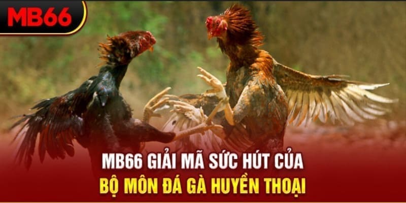 saowin xổ số đài bắc