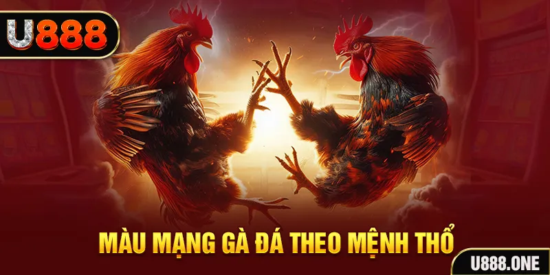 saowin đăng nhập liêng hàng đầu