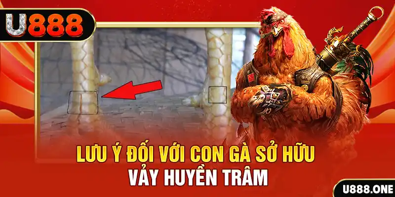 saowin tải game đánh bài tiến lên miền nam về máy tính