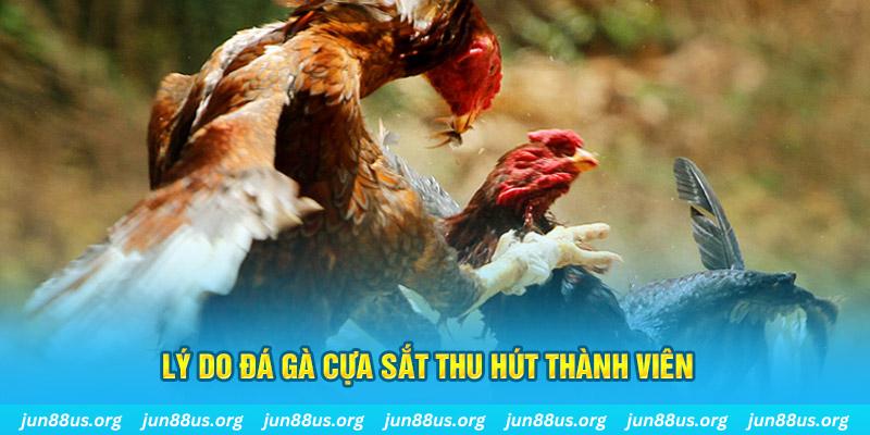 saowin nổ hũ ăn bao nhiêu