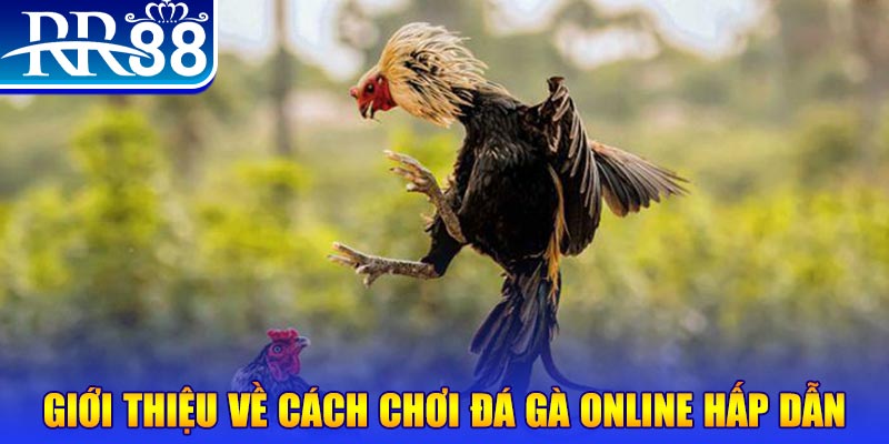 saowin bắn cá h5 là gì