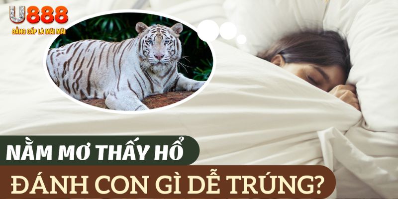 saowin nohu .mx nổ hủ là gì