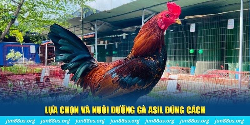 saowin nổ hũ thần tài là gì