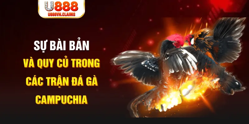 saowin game xếp bài trên máy tính