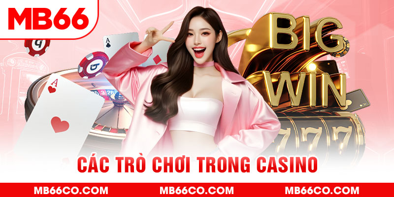 saowin chổi lông gà
