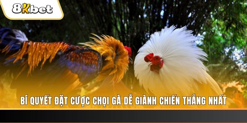 saowin nổ hũ chơi như thế nào