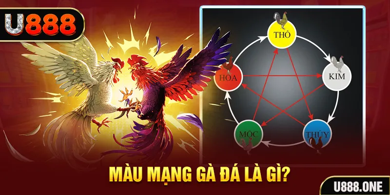 saowin V8 Game Bài 3d