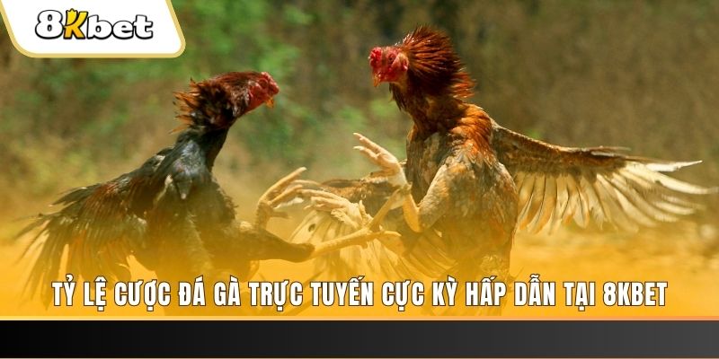 saowin xổ số miền bắc chủ nhật