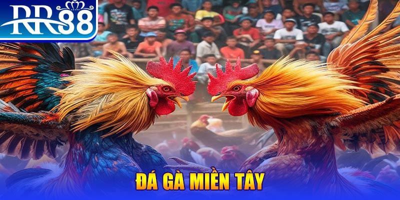 saowin đăng nhập liêng đổi thưởng