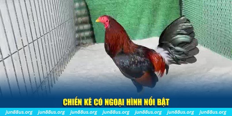 saowin qq88 bắn cá
