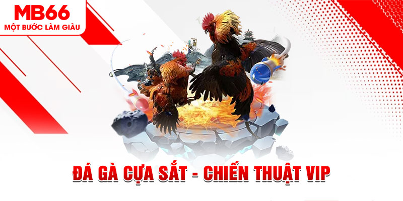 saowin slot out là gì