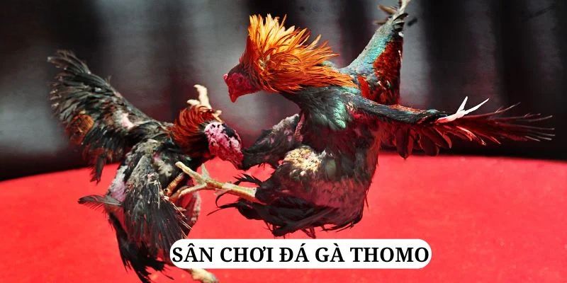 saowin quay nổ hũ là gì